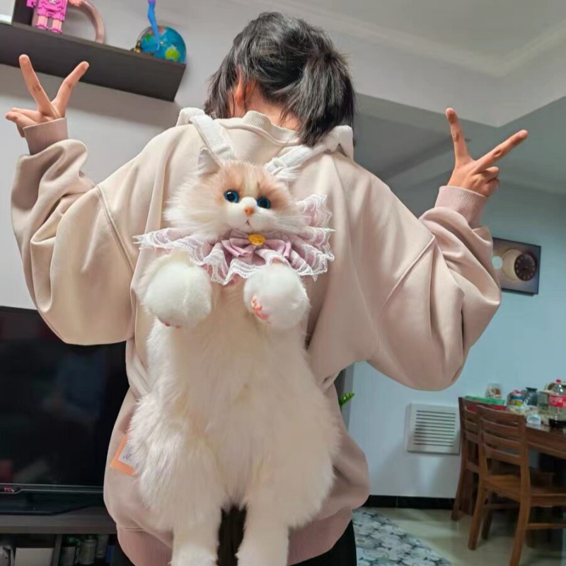 2026 New In Stock Ragdoll Cat  – Travel Accessories Ideas recenzja i cena