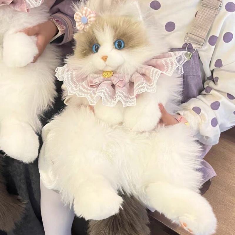 2026 New In Stock Ragdoll Cat  – Travel Accessories Ideas recenzja i cena