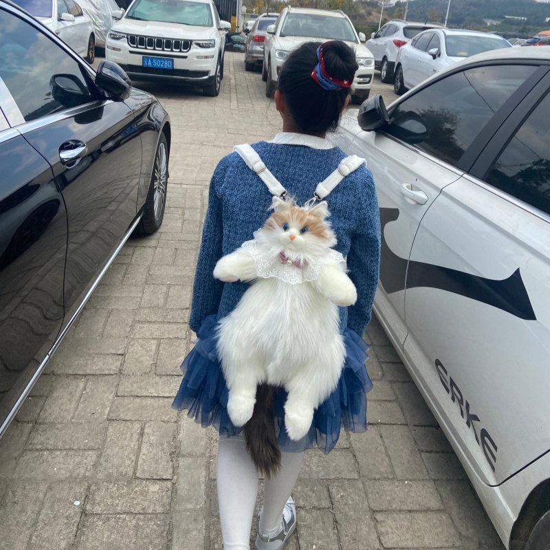 2026 New In Stock Ragdoll Cat  – Travel Accessories Ideas recenzja i cena