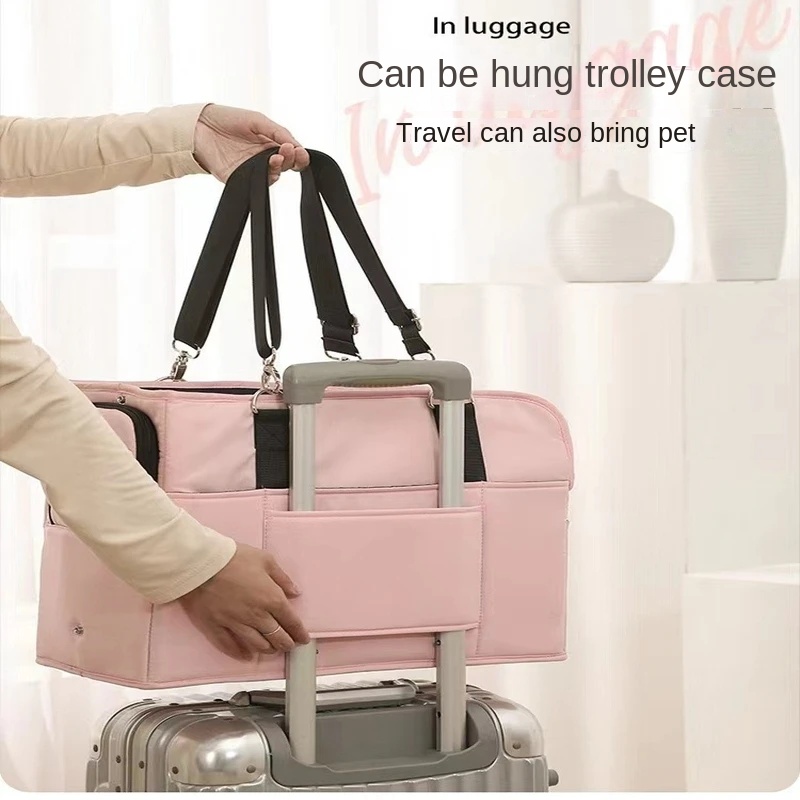 Fashionable Dog  Bag Durable T – Travel Accessories Rome recenzja i cena